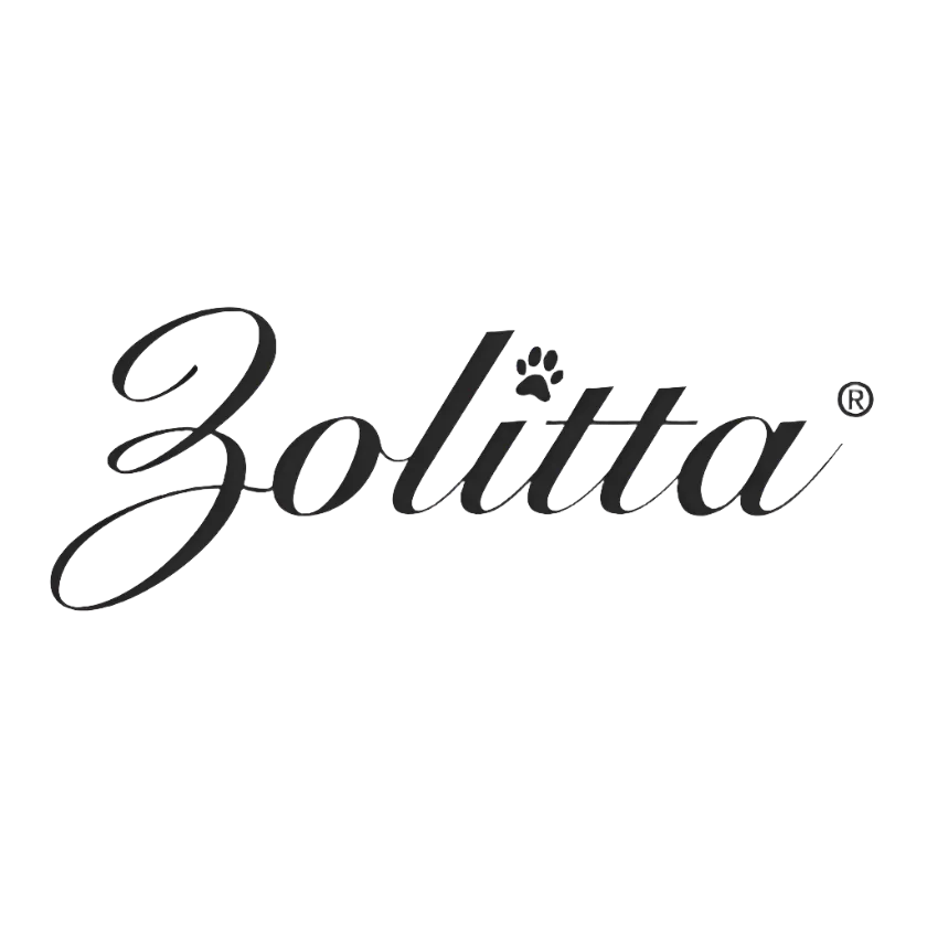 9" Ellipse Comb Pink by Zolitta