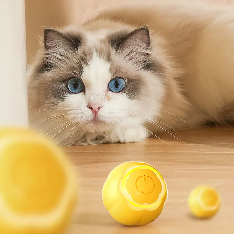 【BIG SALE】Smart Cat Interactive Ball Toys