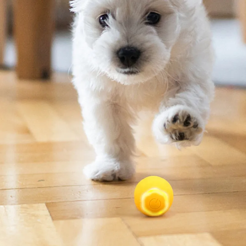 【BIG SALE】Smart Cat Interactive Ball Toys