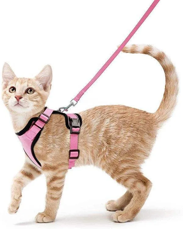 Cat Harness and Leash Set - Soft Adjustable Vest Harnesses for Cat