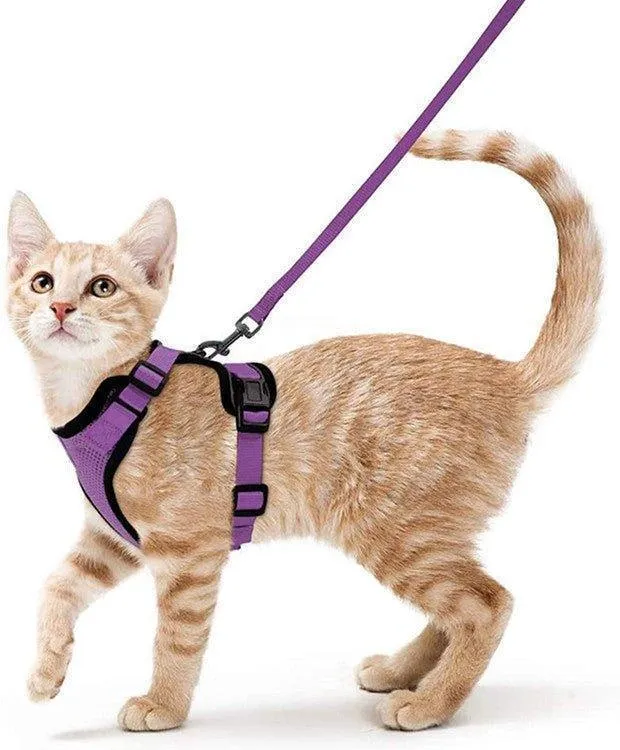 Cat Harness and Leash Set - Soft Adjustable Vest Harnesses for Cat