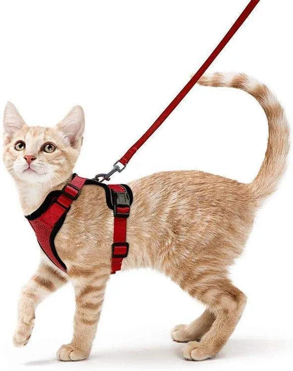 Cat Harness and Leash Set - Soft Adjustable Vest Harnesses for Cat