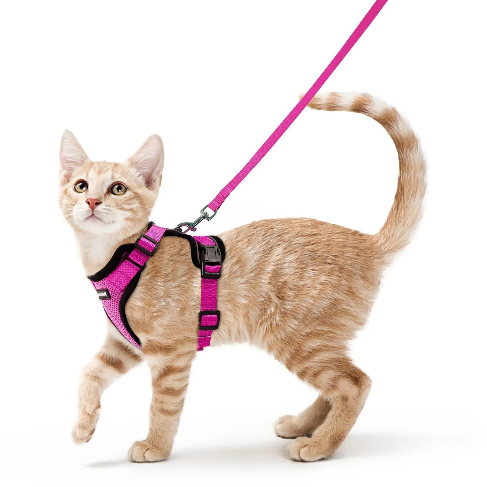Cat Harness and Leash Set - Soft Adjustable Vest Harnesses for Cat