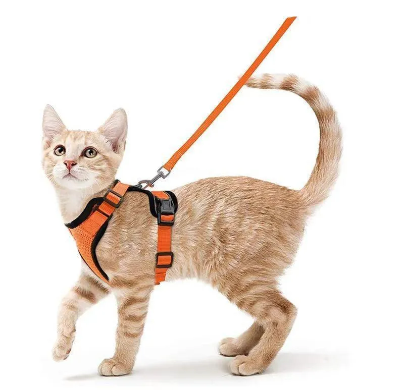 Cat Harness and Leash Set - Soft Adjustable Vest Harnesses for Cat