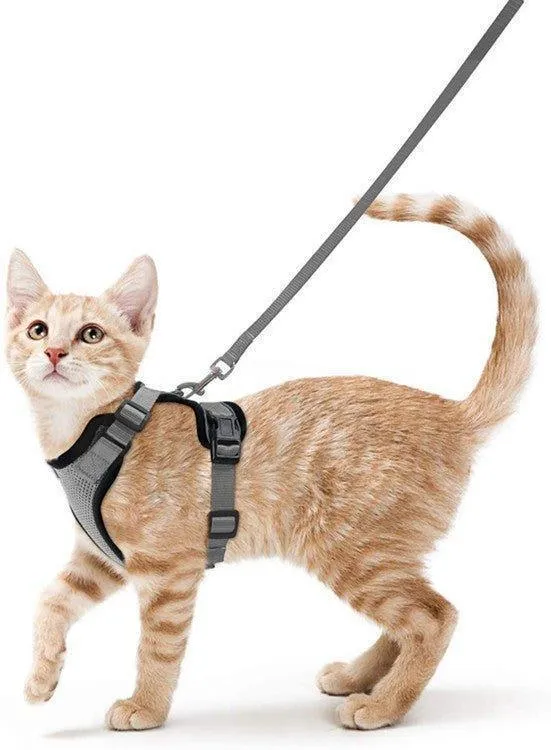 Cat Harness and Leash Set - Soft Adjustable Vest Harnesses for Cat