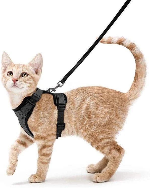 Cat Harness and Leash Set - Soft Adjustable Vest Harnesses for Cat