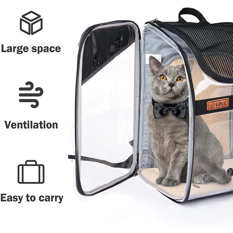 Cat Pet Carrier Airline Approved Backpack