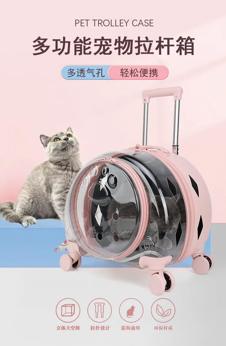 Cat Trolley Suitcase with Wheels