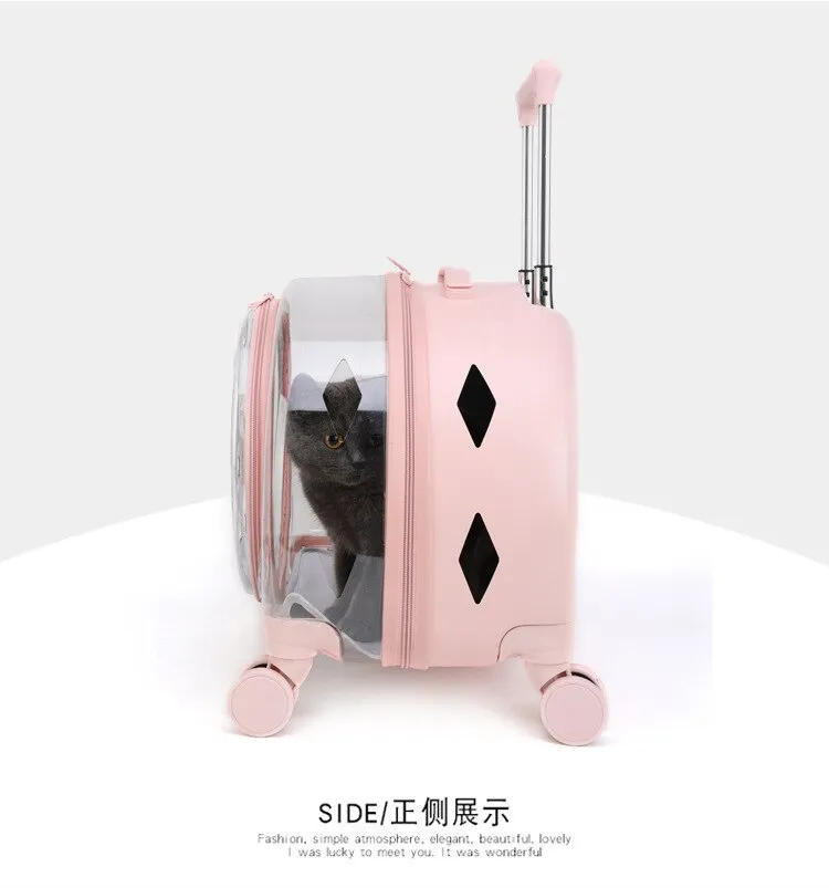 Cat Trolley Suitcase with Wheels