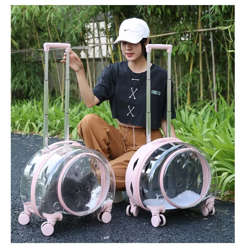 Cat Trolley Suitcase with Wheels