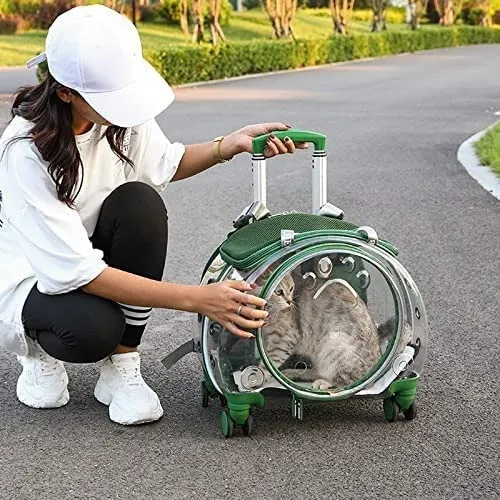 Cat Trolley Suitcase with Wheels