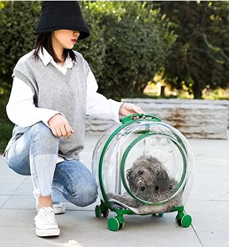 Cat Trolley Suitcase with Wheels