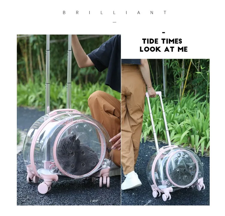 Cat Trolley Suitcase with Wheels