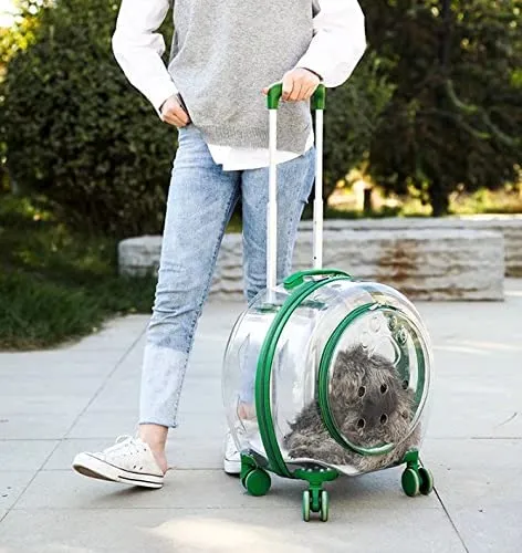 Cat Trolley Suitcase with Wheels