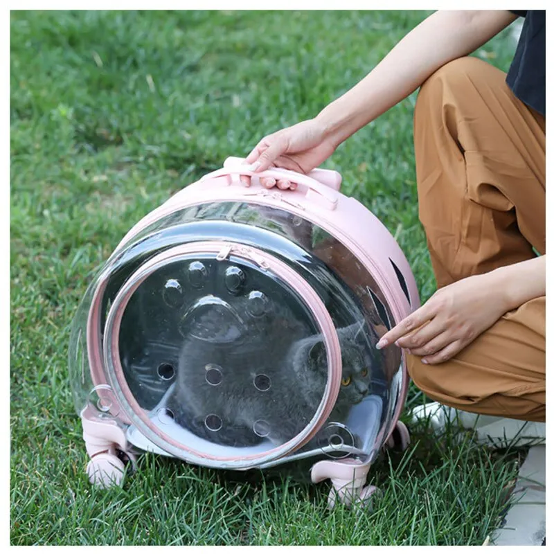 Cat Trolley Suitcase with Wheels