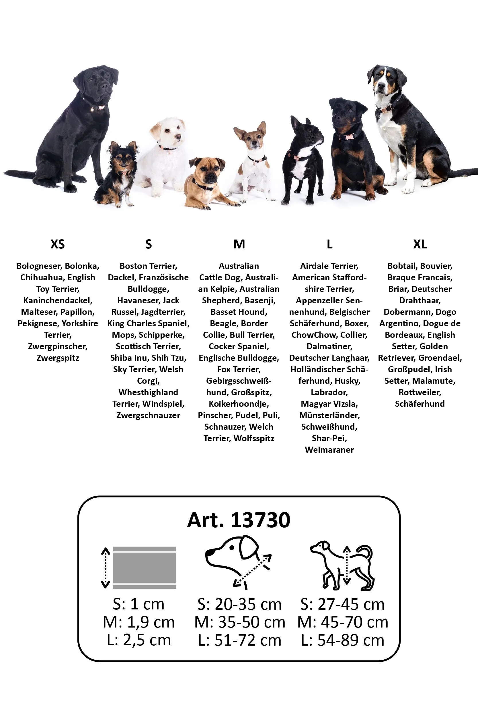 Dog Harness Anam Cara Basic Nylon