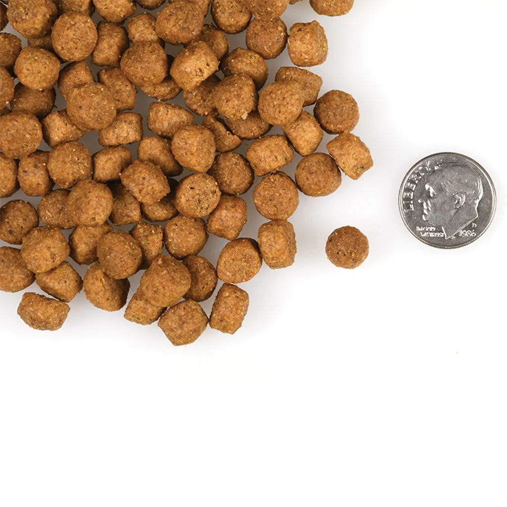 Gold Large Breed Puppy 30lb