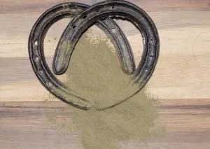 Horsetail POWDER