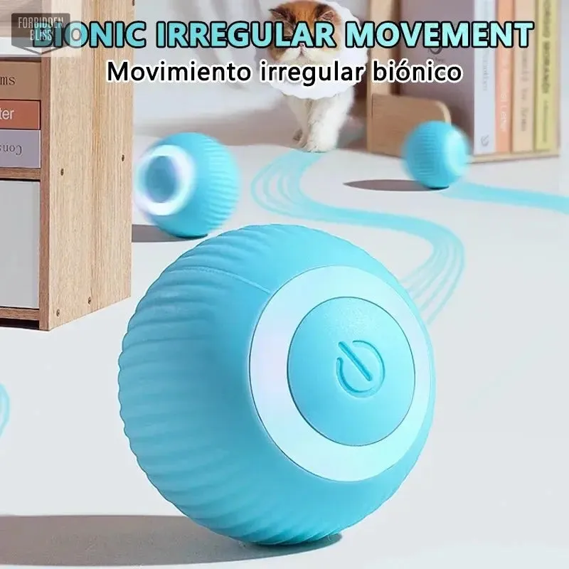 Interactive cat Ball