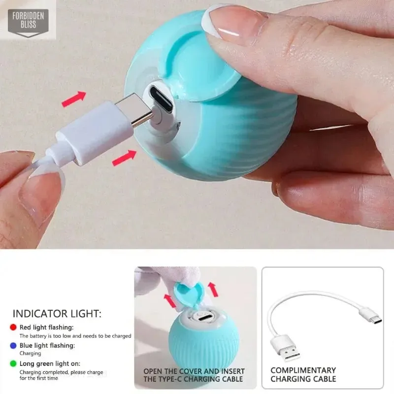 Interactive cat Ball