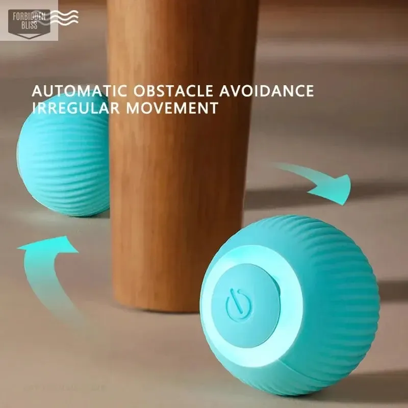 Interactive cat Ball