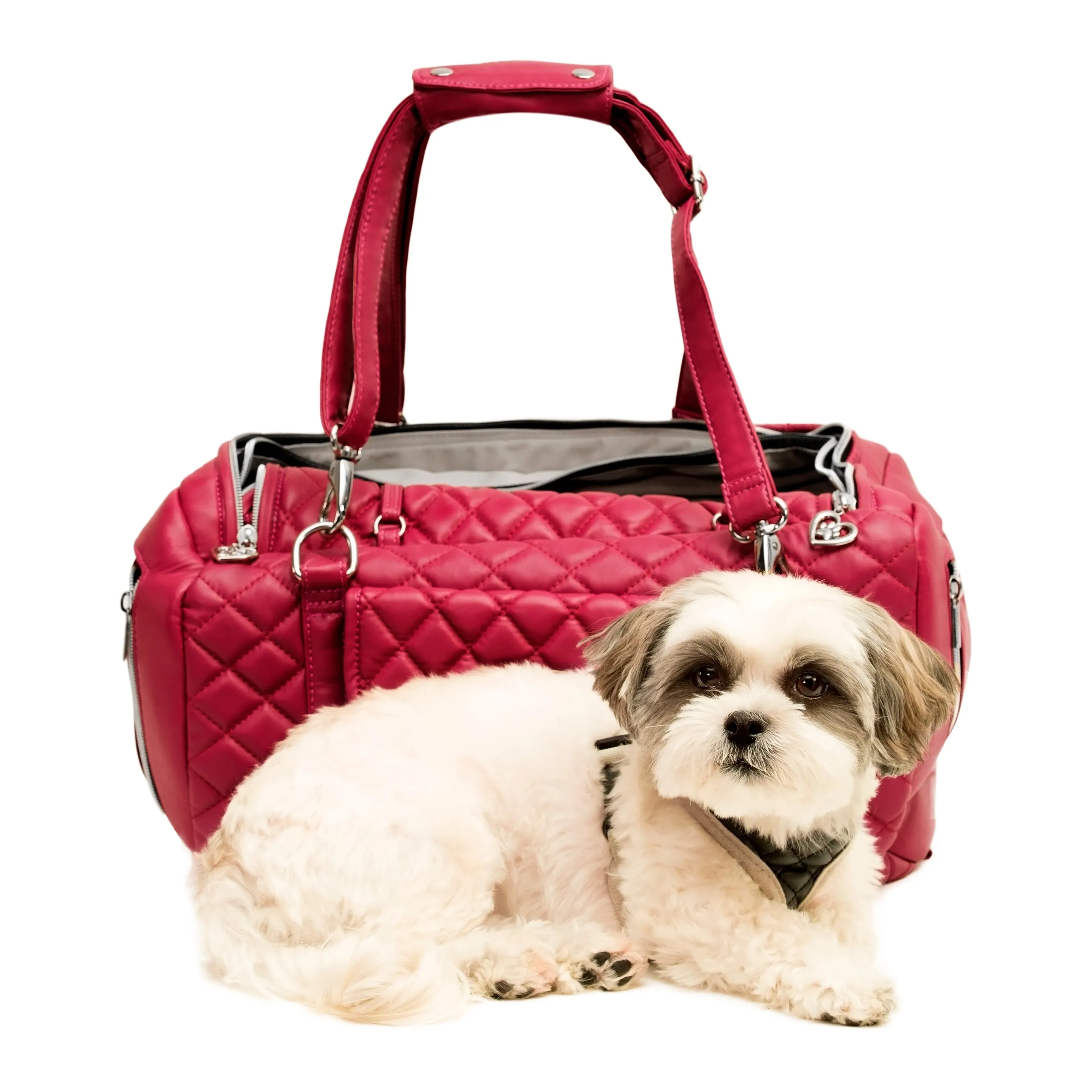 Jetsetter - Premium Car Seat & Airport Compliant Pet Carrier (Black, White, Grey & Pink)