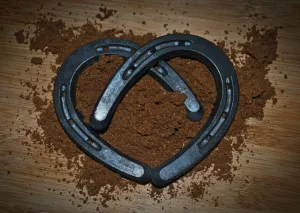 Joint Rebuilder PLUS - EASY FEED FORMULA