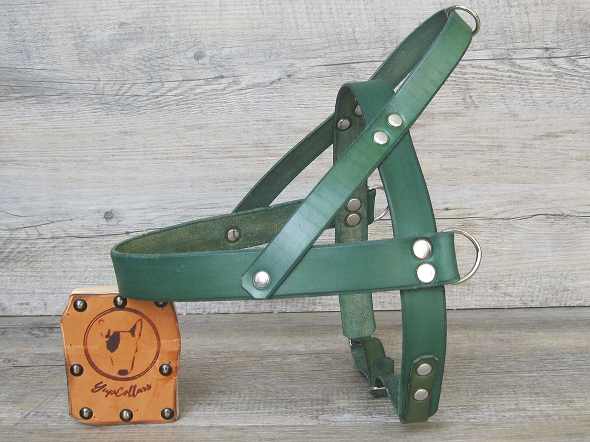 Leather Dog Harness in 6 Colors With Side D-Rings