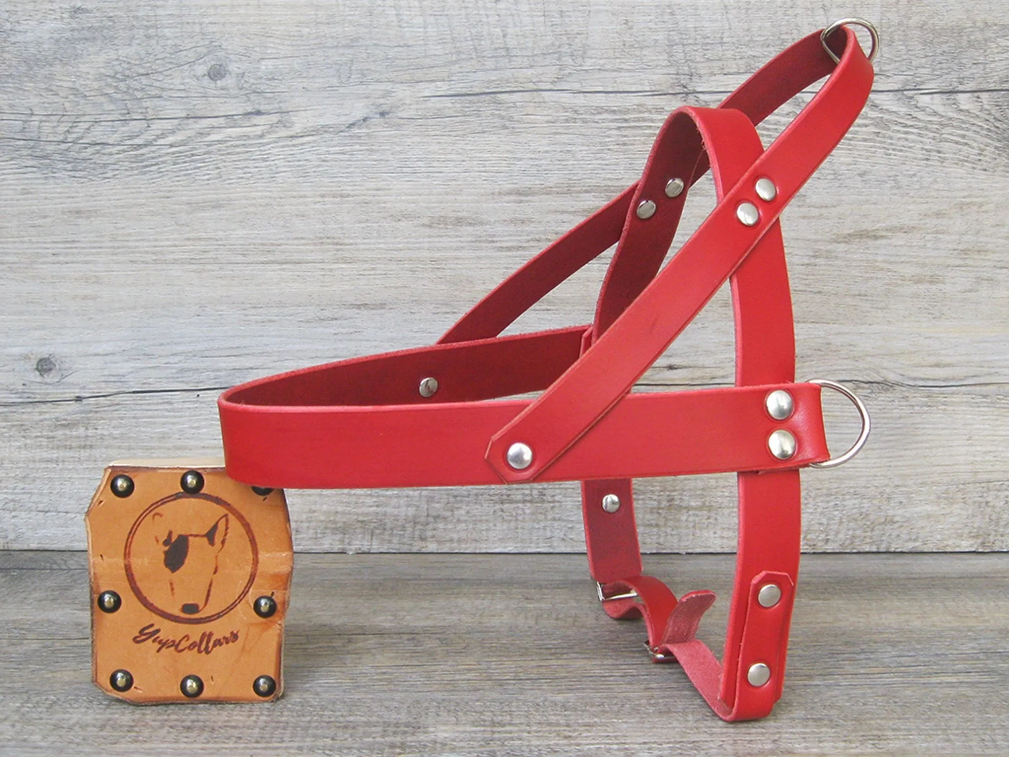 Leather Dog Harness in 6 Colors With Side D-Rings