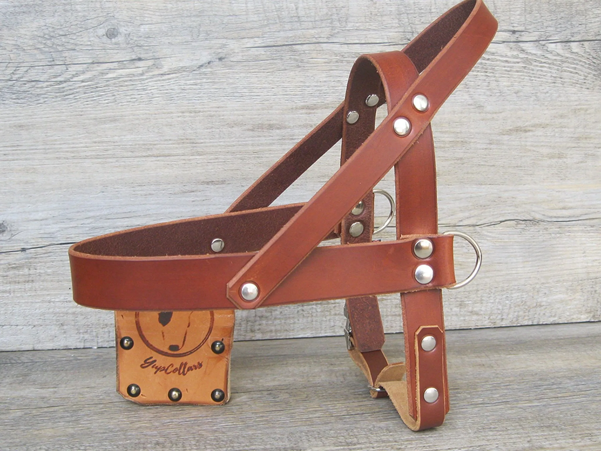 Leather Dog Harness in 6 Colors With Side D-Rings