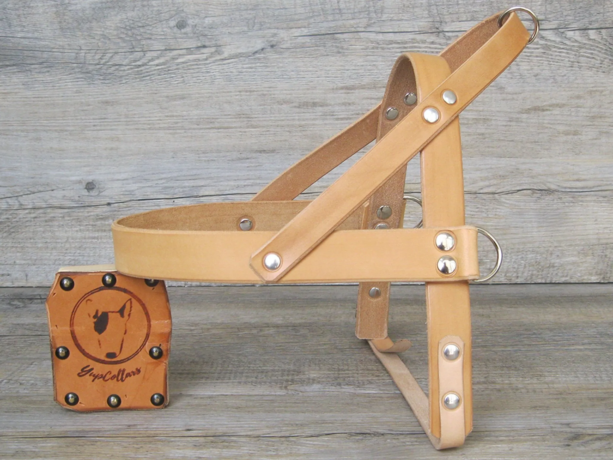 Leather Dog Harness in 6 Colors With Side D-Rings