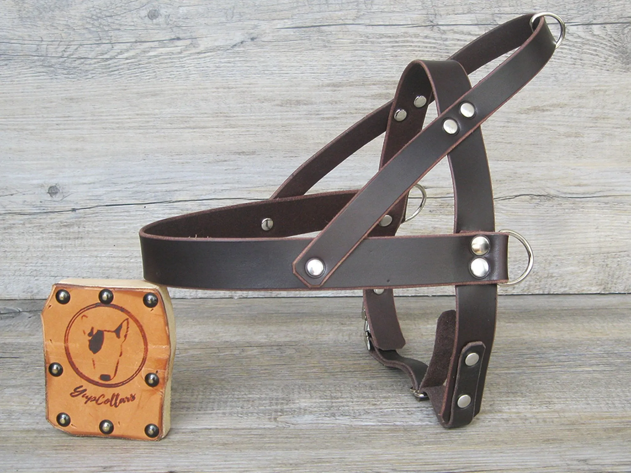 Leather Dog Harness in 6 Colors With Side D-Rings