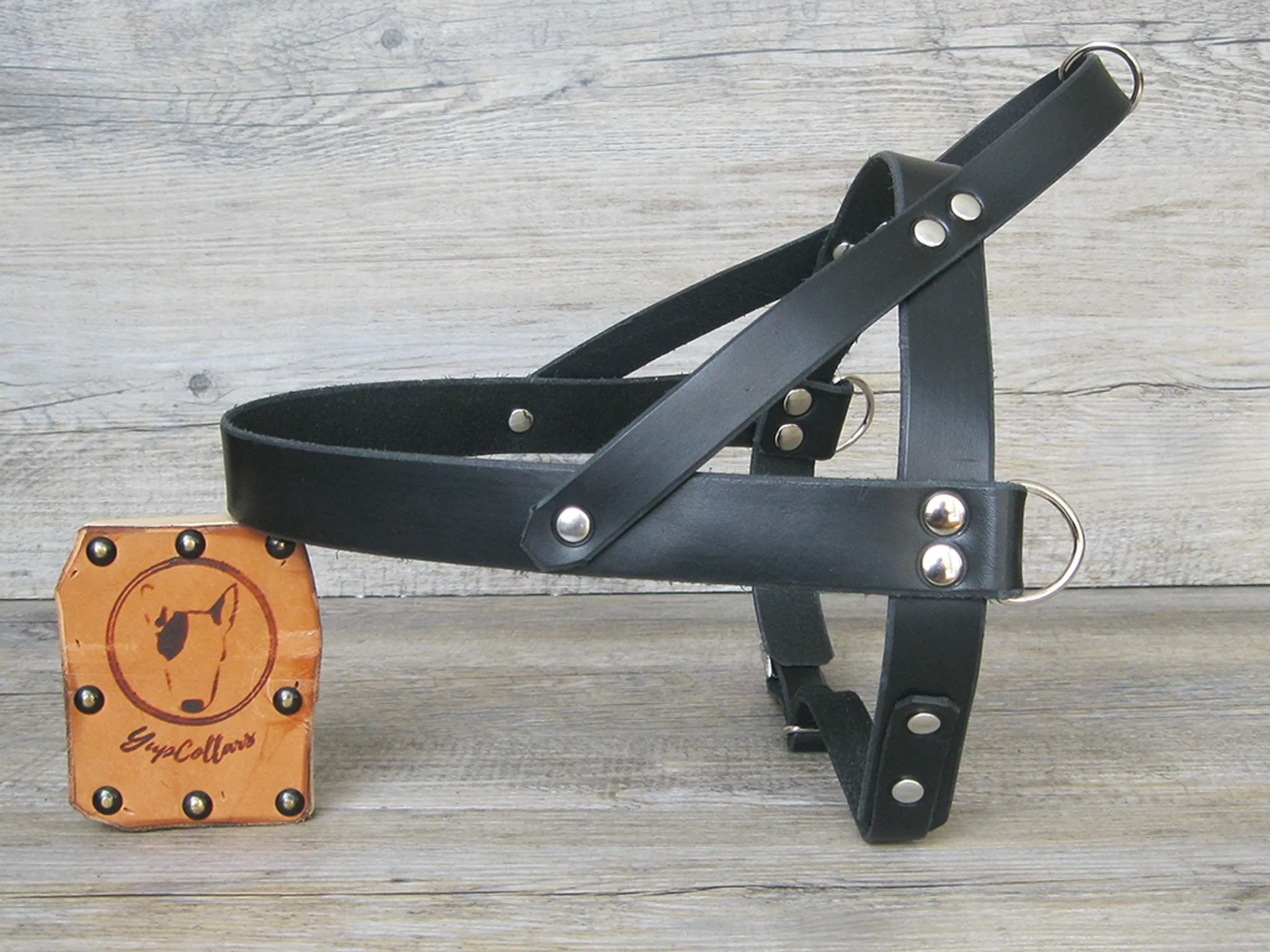 Leather Dog Harness in 6 Colors With Side D-Rings