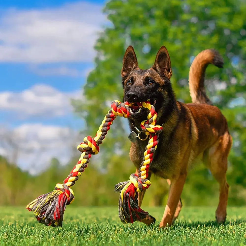 Mammoth Flossy Chews 5 Knotted XXL