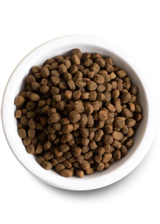 Open Farm Dog Grain Free Whitefish *SPECIAL ORDER*