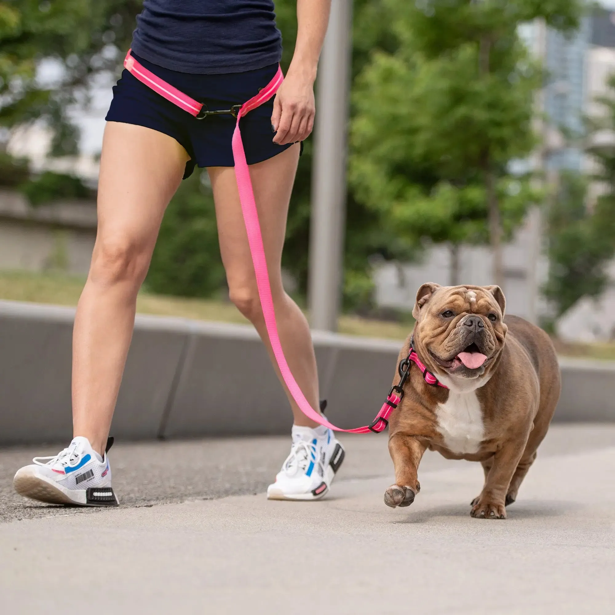 Reflective 6-in-1 Dog Leash