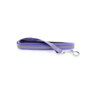 Reflective Nylon Leash with Soft Grip Handle in Paisley Purple