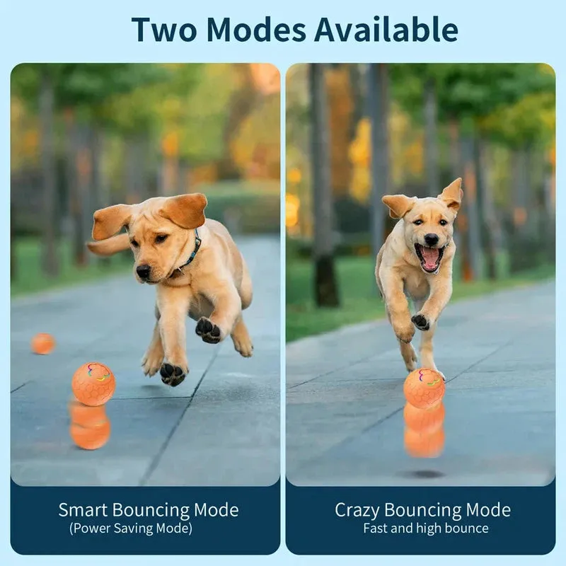 Smart Rechargeable Interactive Rolling Ball Dog Toy