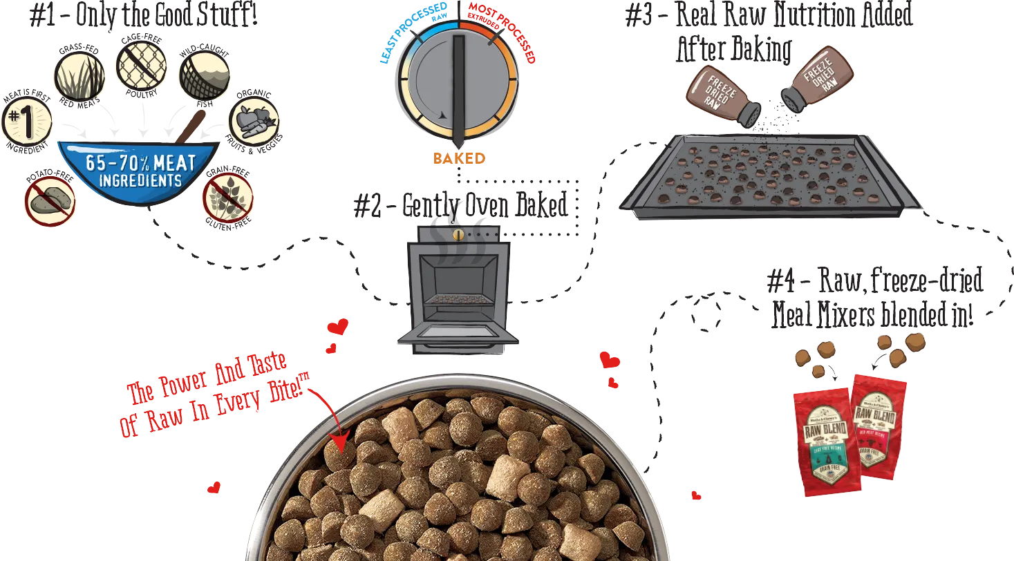 Stella & Chewy's Dry Dog Food Raw Blend Grain-Free Free Range Recipe