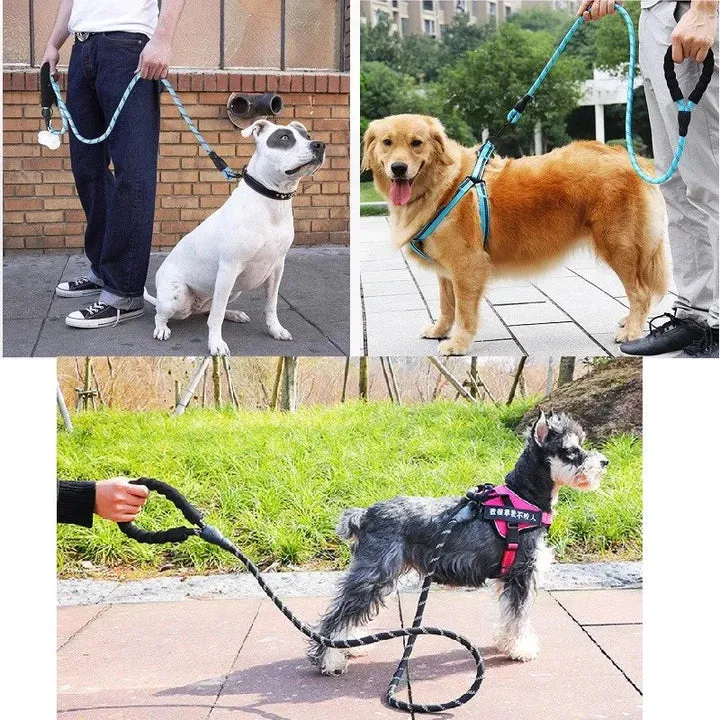 Strong Nylon Reflective Dog Leash