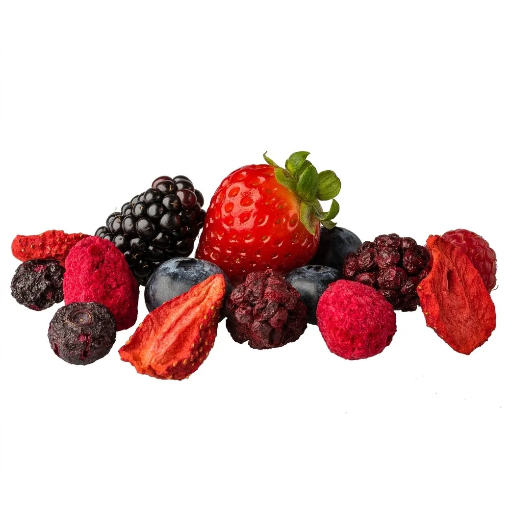 The Rotten Fruit Box Freeze Dried "Very Berry" Snack Pouch